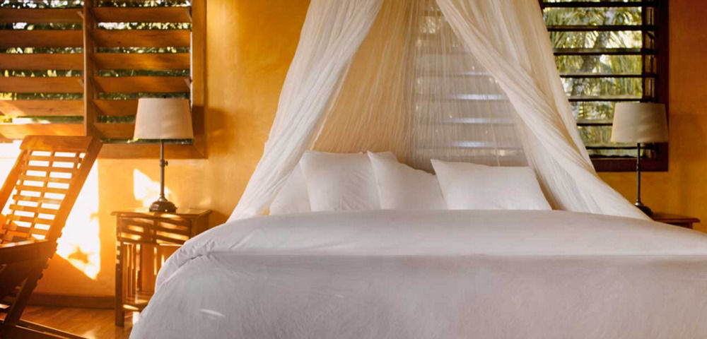 Gaia Riverlodge Unitedville Екстериор снимка